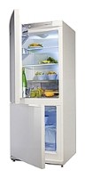 Snaige RF27SM-S10002 Refrigerator larawan