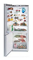 Gaggenau RB 272-250 Refrigerator larawan