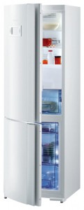 Gorenje RK 67325 W Холодильник фотография