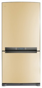 Samsung RL-62 ZBVB Buzdolabı fotoğraf