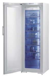 Gorenje FN 61230 DW Refrigerator larawan