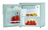 Gorenje R 0907 BAC Холодильник фотография