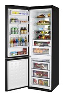 Samsung RL-55 VTEBG Tủ lạnh ảnh