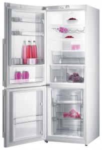 Gorenje RK 65 SYX Холодильник фото
