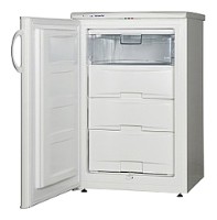 Snaige F100-1101A Refrigerator larawan