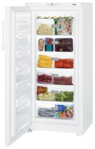 Liebherr GP 3013 Холодильник фото