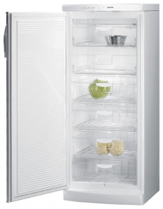 Gorenje F 6248 W Refrigerator larawan