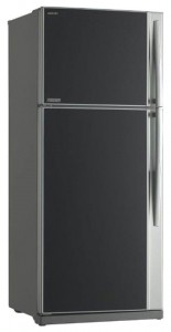 Toshiba GR-RG70UD-L (GU) Холодильник фотография