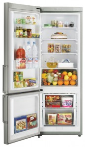 Samsung RL-29 THCMG Холодильник фотография
