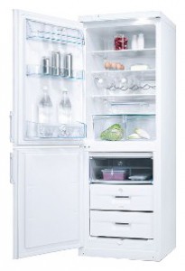 Electrolux ERB 31099 W Tủ lạnh ảnh