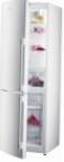 Gorenje RK 65 SYW-F1 Tủ lạnh