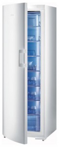 Gorenje F 60308 DW Refrigerator larawan