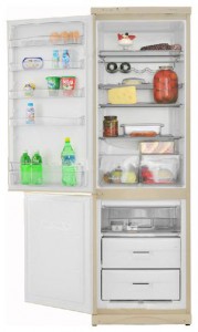 Snaige RF390-1713A Refrigerator larawan