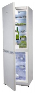Snaige RF360-1881А Холодильник фотография