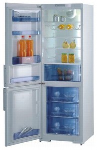 Gorenje RK 61341 W Tủ lạnh ảnh