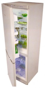 Snaige RF31SM-S11A01 Tủ lạnh ảnh