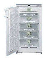 Liebherr GSNP 2026 Холодильник фотография