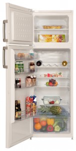BEKO DS 233020 Холодильник фотография