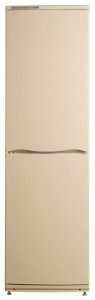 ATLANT ХМ 6025-081 Tủ lạnh ảnh