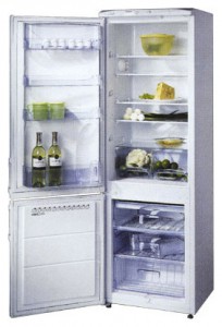 Hansa RFAK312iBFP Tủ lạnh ảnh