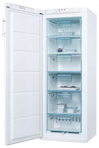Electrolux EUC 25291 W Tủ lạnh ảnh