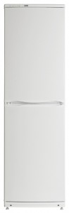 ATLANT ХМ 6023-012 Tủ lạnh ảnh
