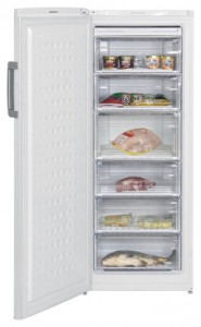 BEKO FS 225300 Холодильник фотография