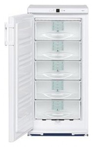 Liebherr G 2013 Refrigerator larawan