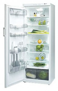 Fagor 1FSC-19 EL Холодильник фотография