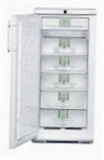 Liebherr GN 2413 Refrigerator