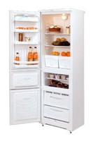 NORD 184-7-021 Холодильник фотография