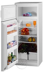 Exqvisit 214-1-4005 Холодильник фотография