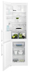 Electrolux EN 3852 JOW Refrigerator larawan