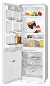 ATLANT ХМ 5013-000 Холодильник фото