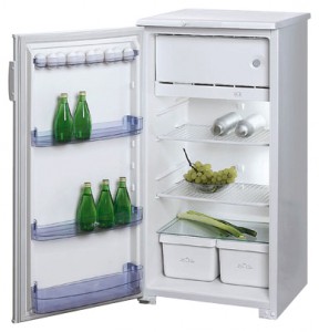 Бирюса 10 ЕK Холодильник фотография