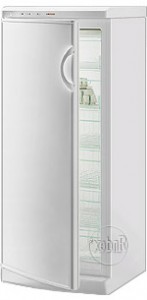 Gorenje F 24 CC Холодильник фотография