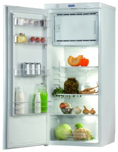Pozis RS-405 Холодильник фотография