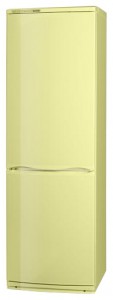 ATLANT ХМ 6021-081 Refrigerator larawan