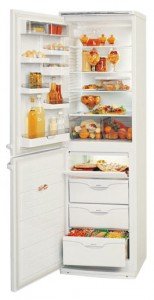 ATLANT МХМ 1805-34 Холодильник фото