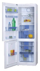 Hansa FK310MSW Refrigerator larawan