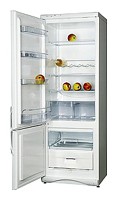 Snaige RF315-1T03А Refrigerator larawan