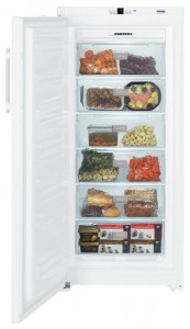 Liebherr GN 3113 Fridge Photo