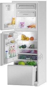 Stinol 104 ELK Холодильник фотография