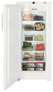Liebherr GNP 3113 Refrigerator larawan