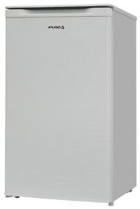 Delfa BD-80 Холодильник фото