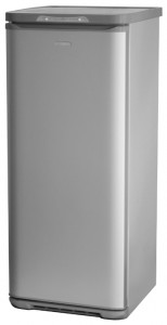 Бирюса M146SN Refrigerator larawan