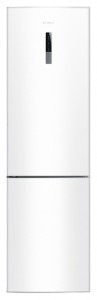 Samsung RL-59 GYBSW Tủ lạnh ảnh