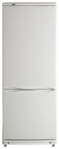 ATLANT ХМ 4009-022 Tủ lạnh ảnh