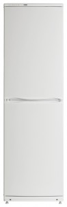ATLANT ХМ 6093-031 Refrigerator larawan