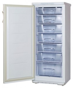 Бирюса 146 KLNE ตู้เย็น รูปถ่าย
